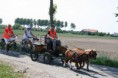 /album/menrit-04-06-2011/a06-04-2011-119-jpg/